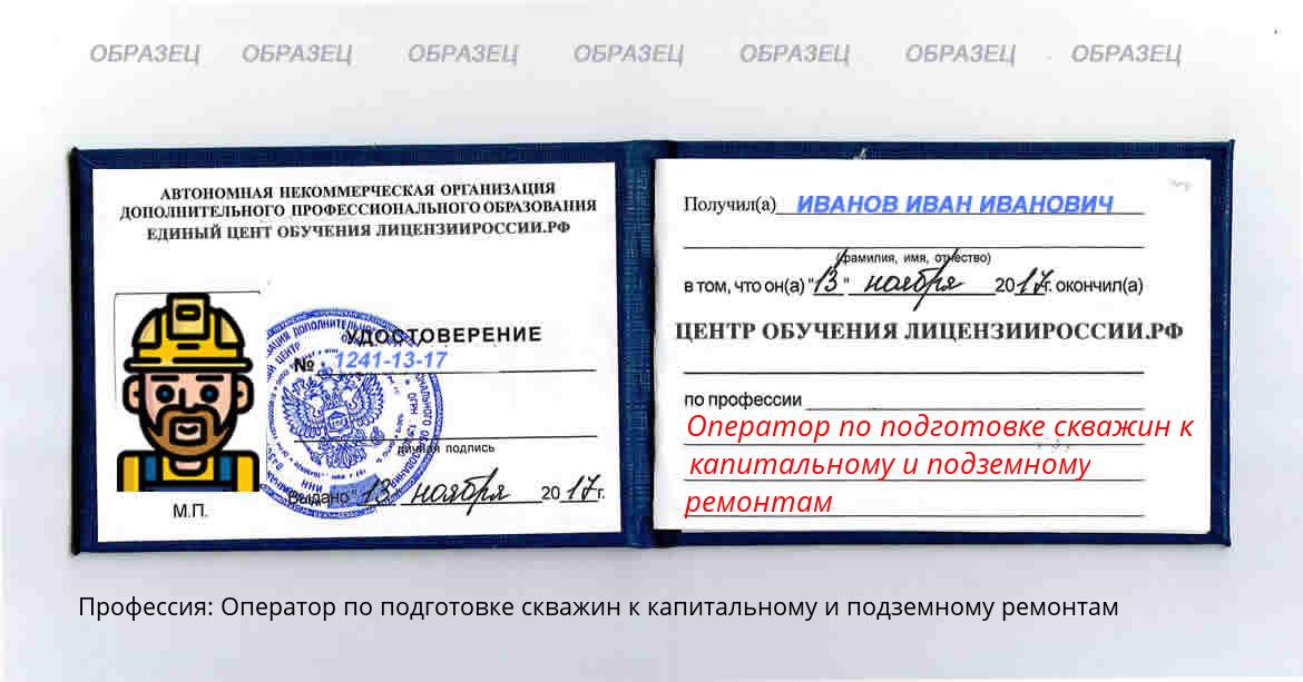 Оператор по подготовке скважин к капитальному и подземному ремонтам Донецк